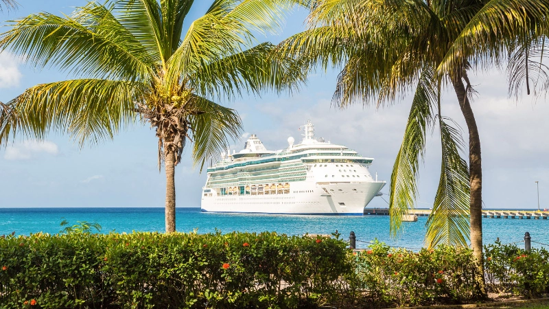 Cruise