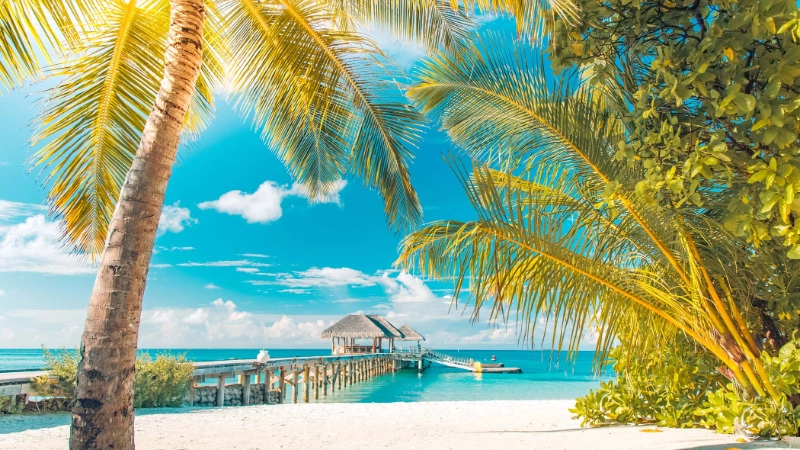 Tropical beach