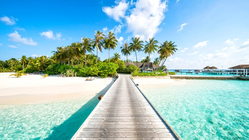 Tropical beach