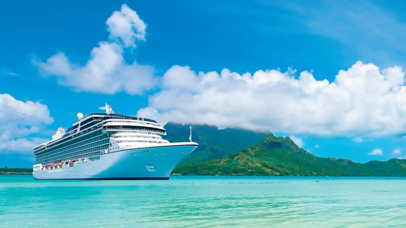 cruise