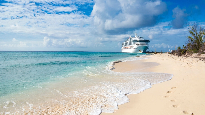 Cruise