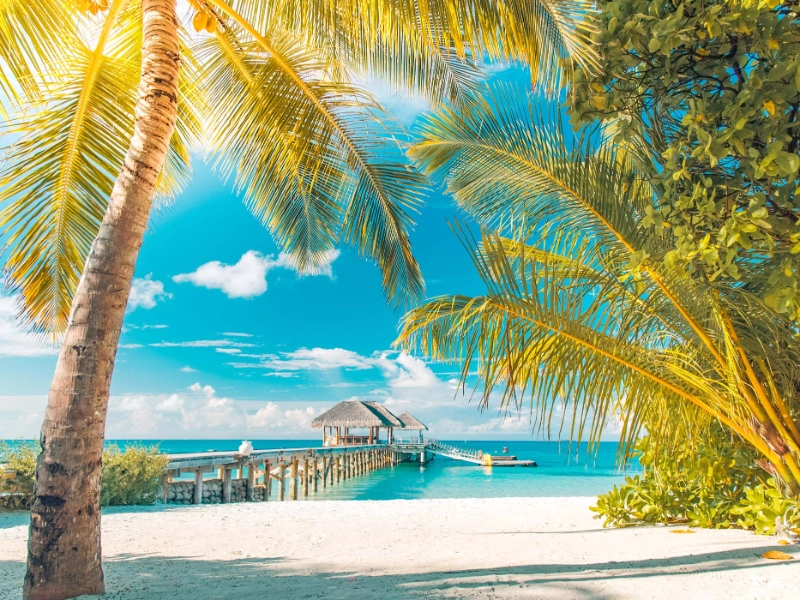 Tropical beach